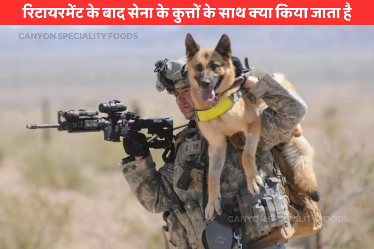 Indian army dog recruitment