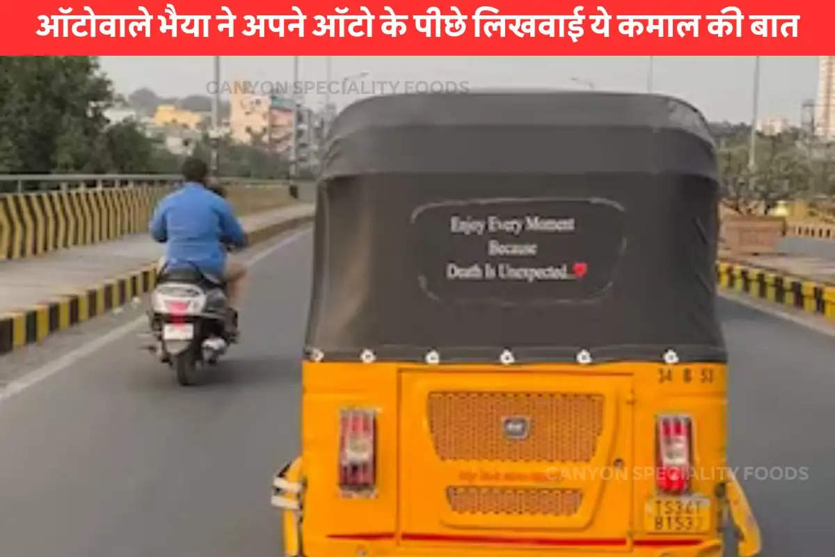 quote on back of auto goes viral