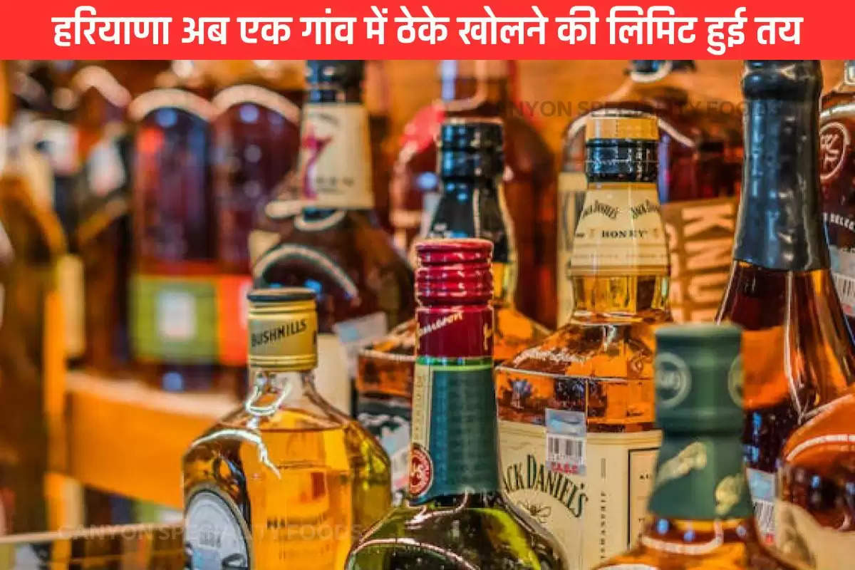 Haryana Liquor Policy