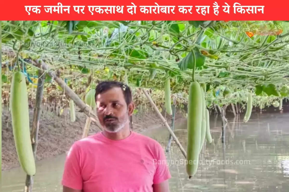 new-technology-farmer-farming-fish