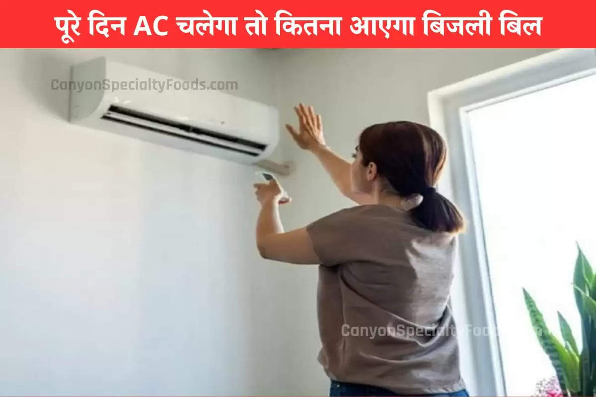 पूरे दिन AC चलेगा तो कितना आएगा बिजली बिल