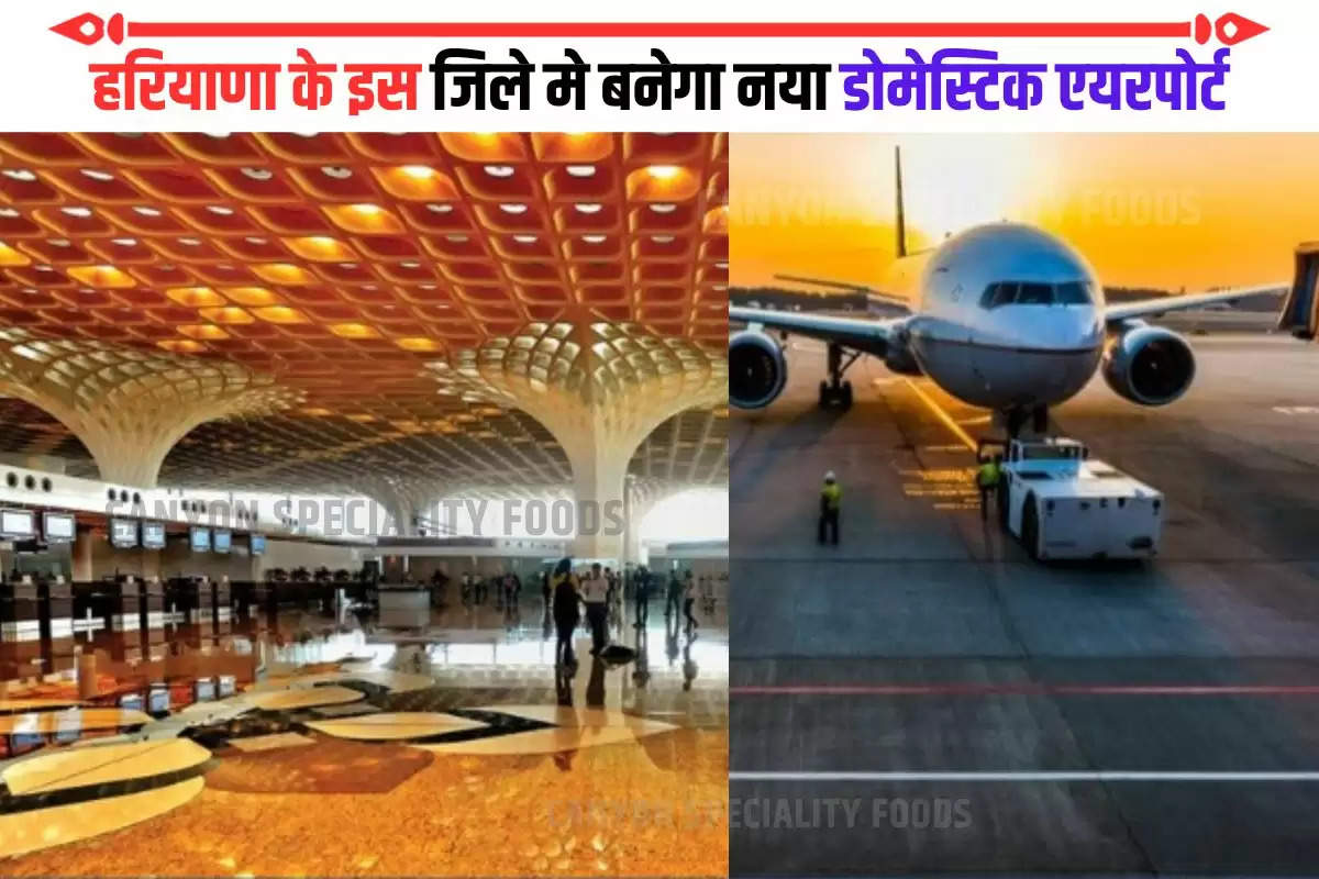 khattar-government-build-domestic-airport