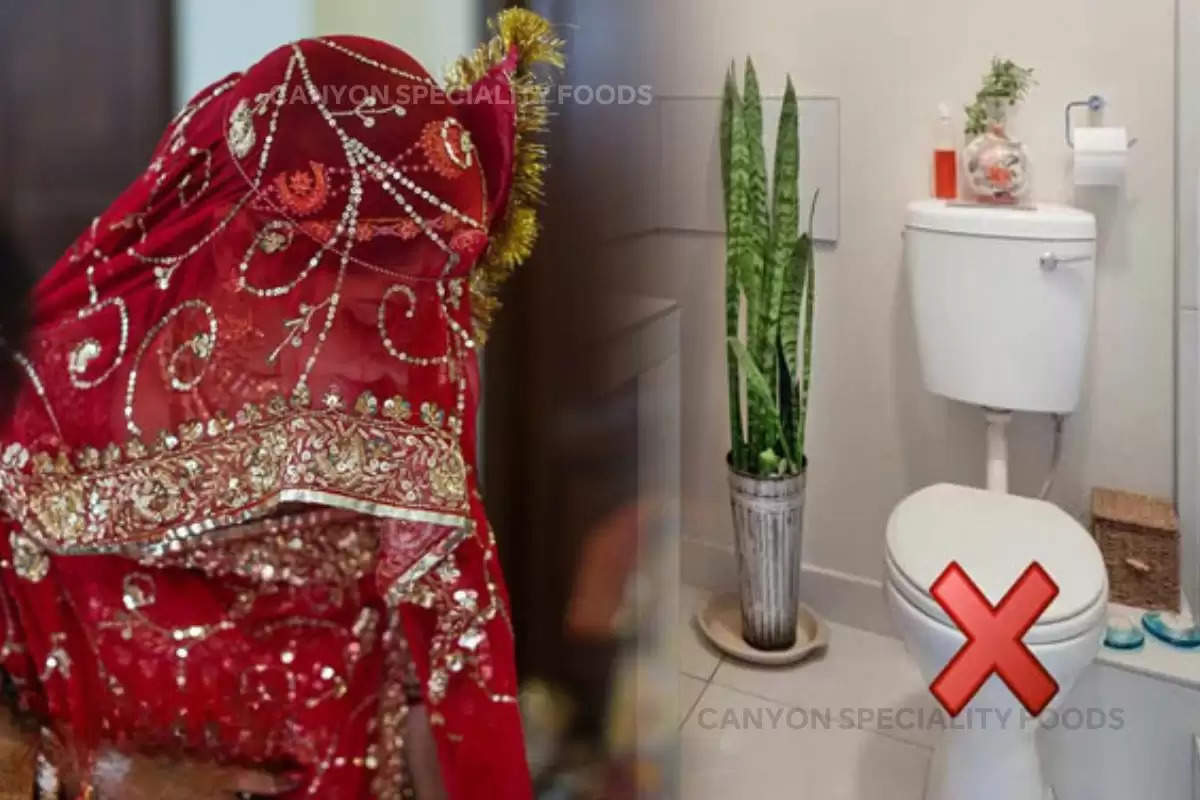 bride-and-groom-are-not-allowed-to-use-toilet