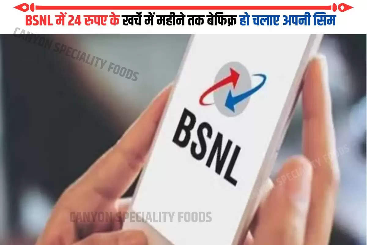BSNL में 24 रुपए के खर्चे में महीने तक  बेफिक्र हो चलाए अपनी सिम