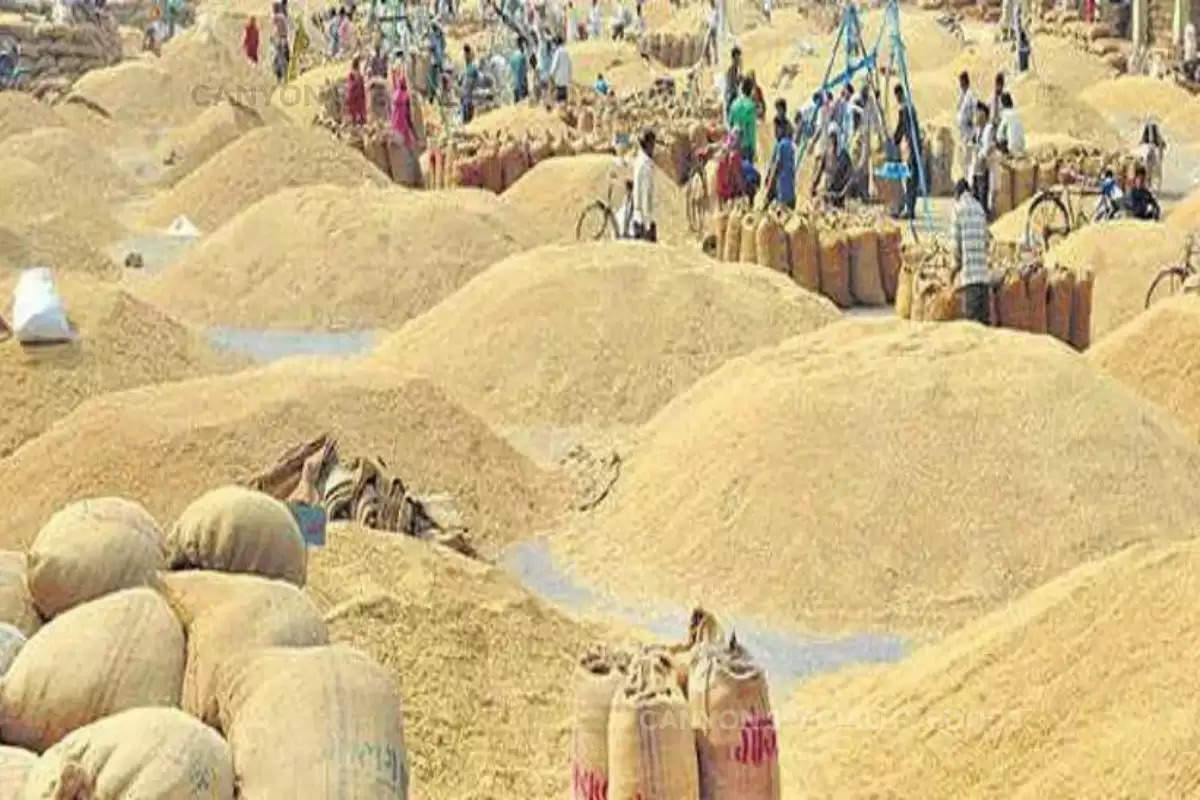 Wheat Procurement in Gurugram