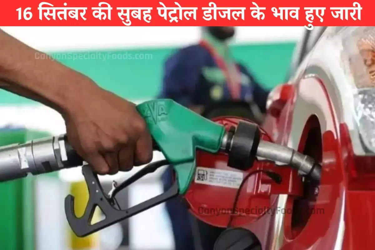 Petrol Price Today: पेट्रोल-डीजल की लेटेस्ट कीमत अपडेट, यहां चेक करें अपने शहर का रेट