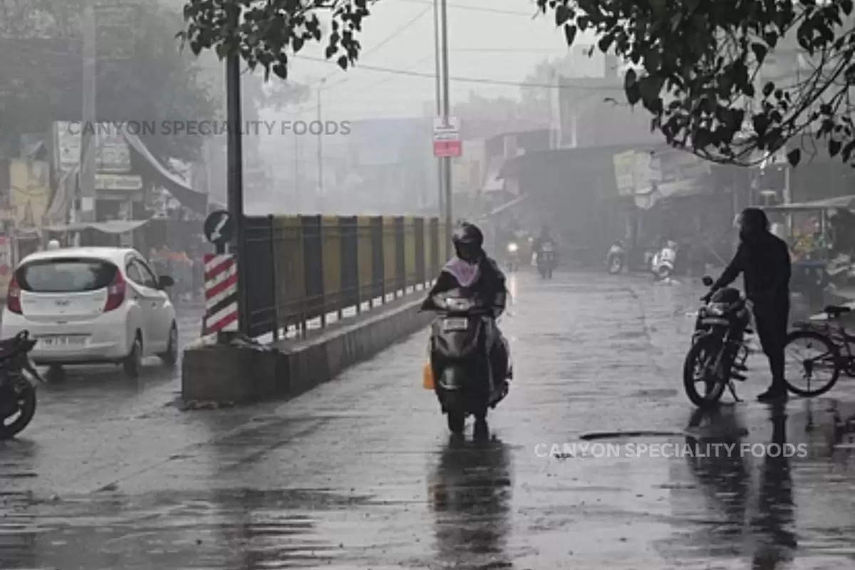 rain-in-haryana