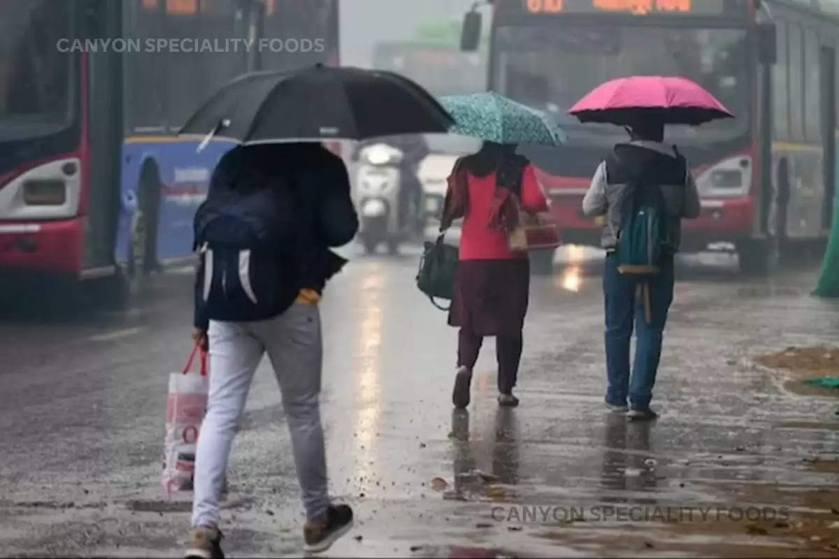 punjab-haryana-weather-update