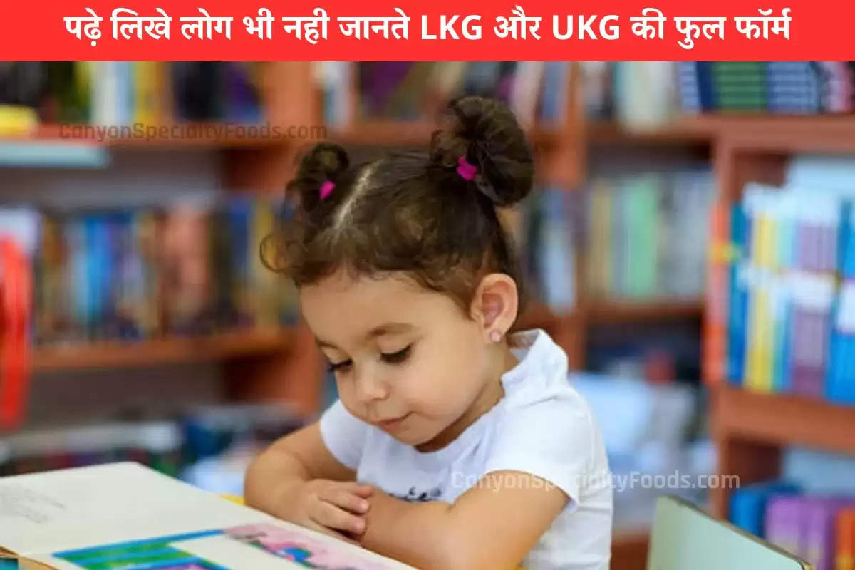 what-is-the-full-form-of-lkg-and-ukg