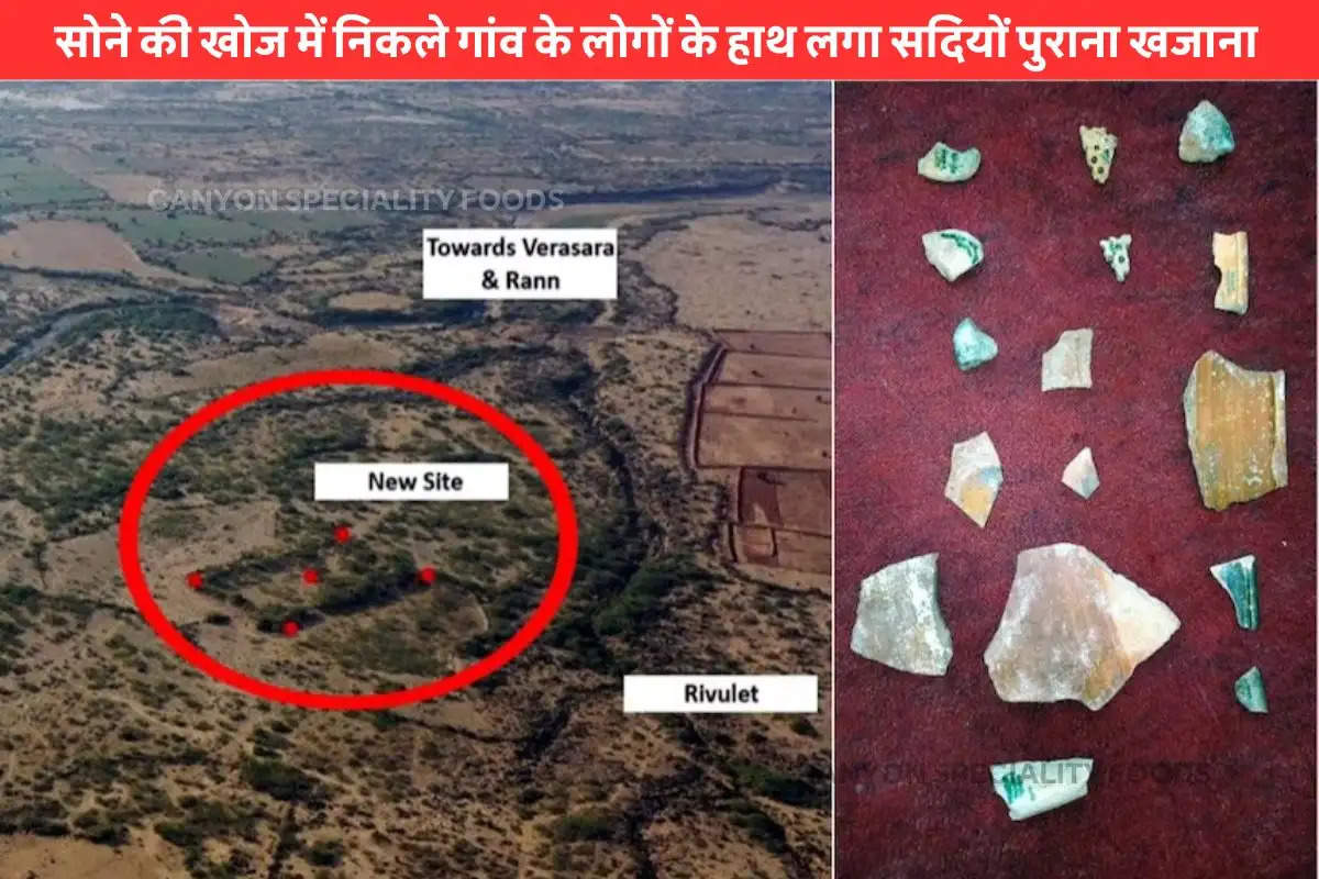 Ancient Harappan Site