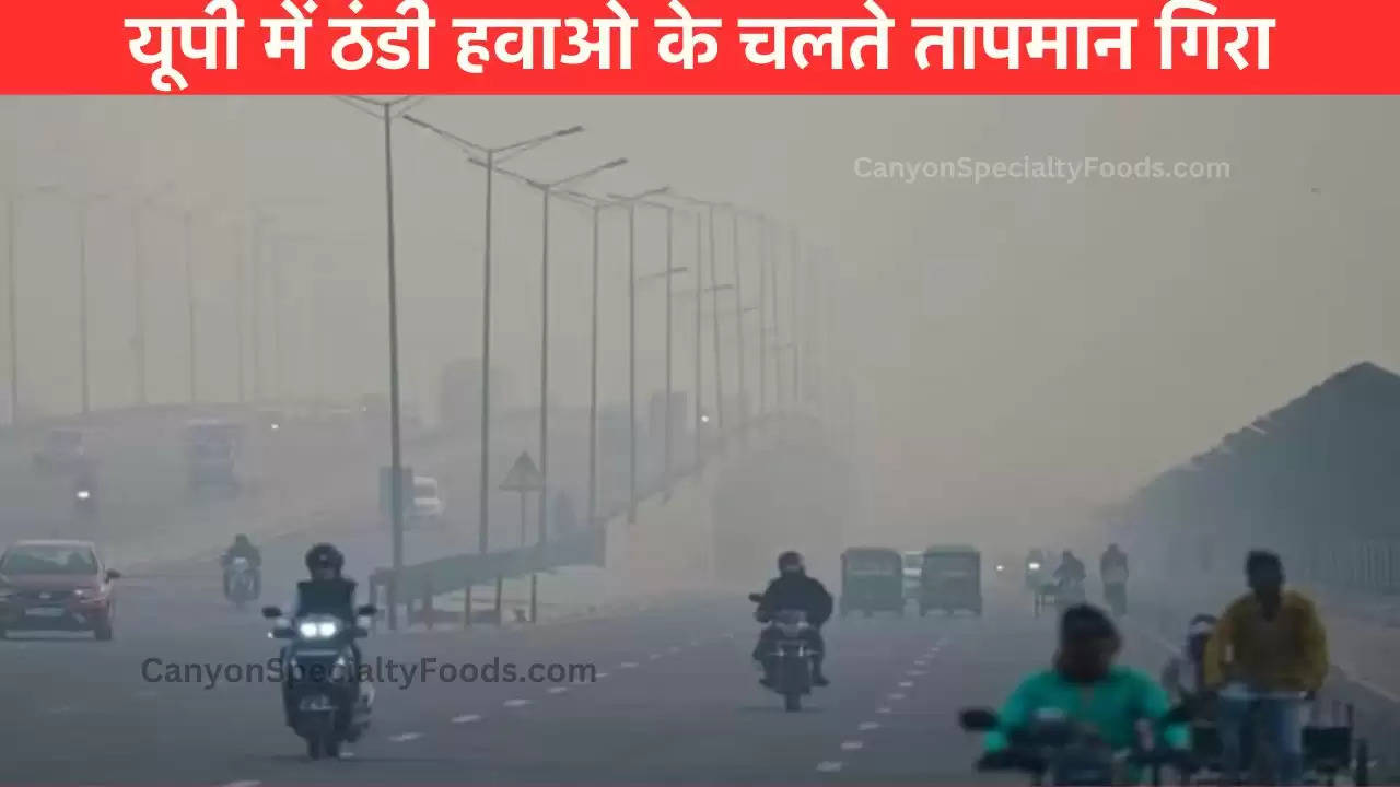 UP Weather Today: यूपी में ठंड से छुटी कंपकंपी, पछुआ हवाओं से गिरा तापमान; जानें कैसा रहेगा मौसम का हाल