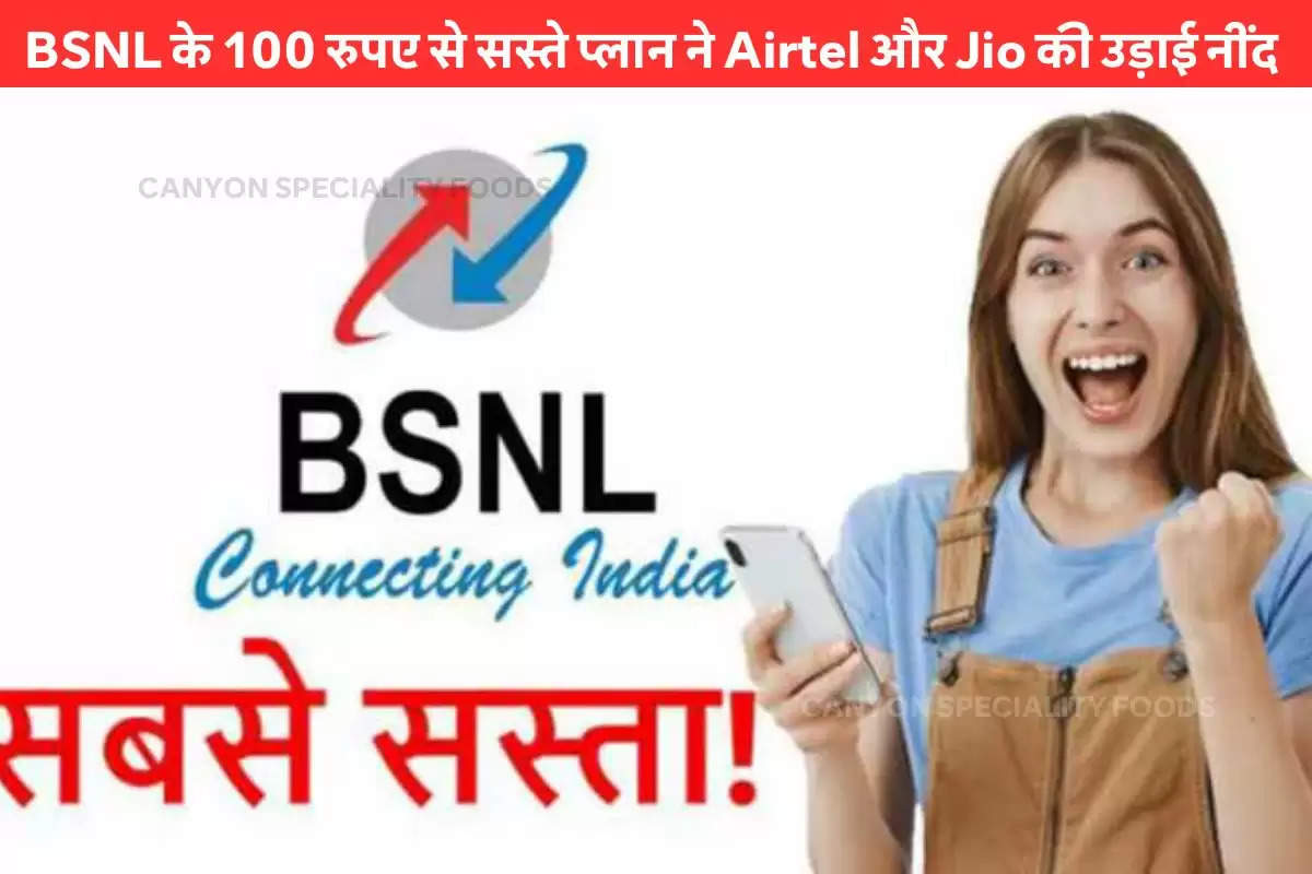 bsnl-company-offer-high-speed-data-with-under-100