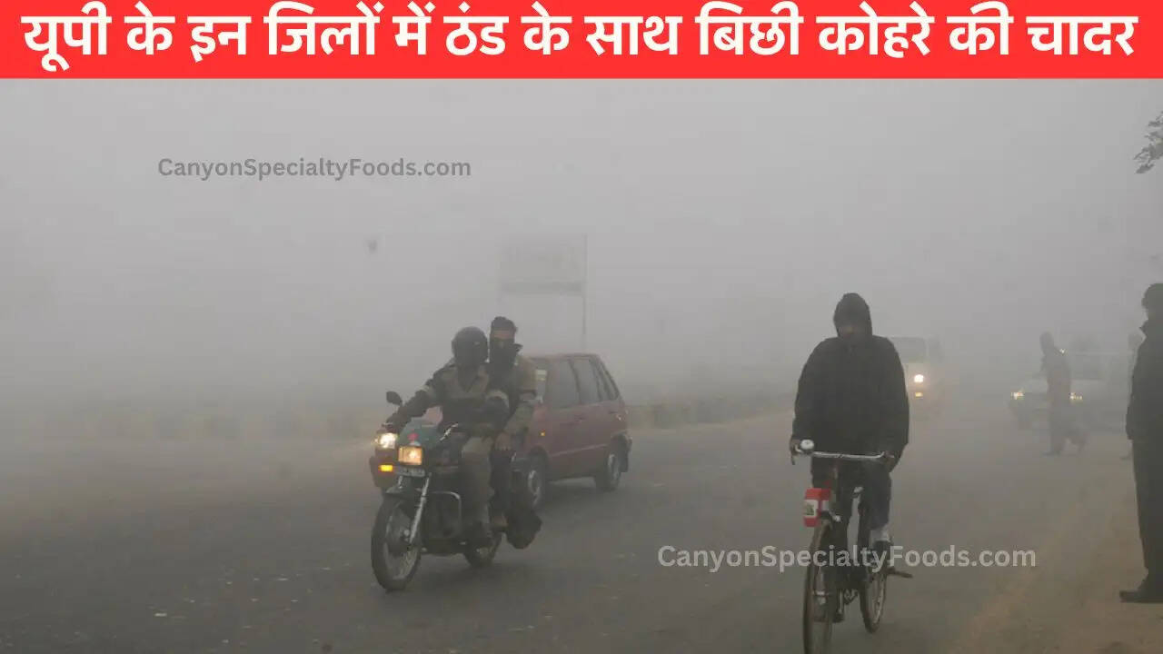 यूपी के इन जिलों में ठंड के साथ बिछी कोहरे की चादर