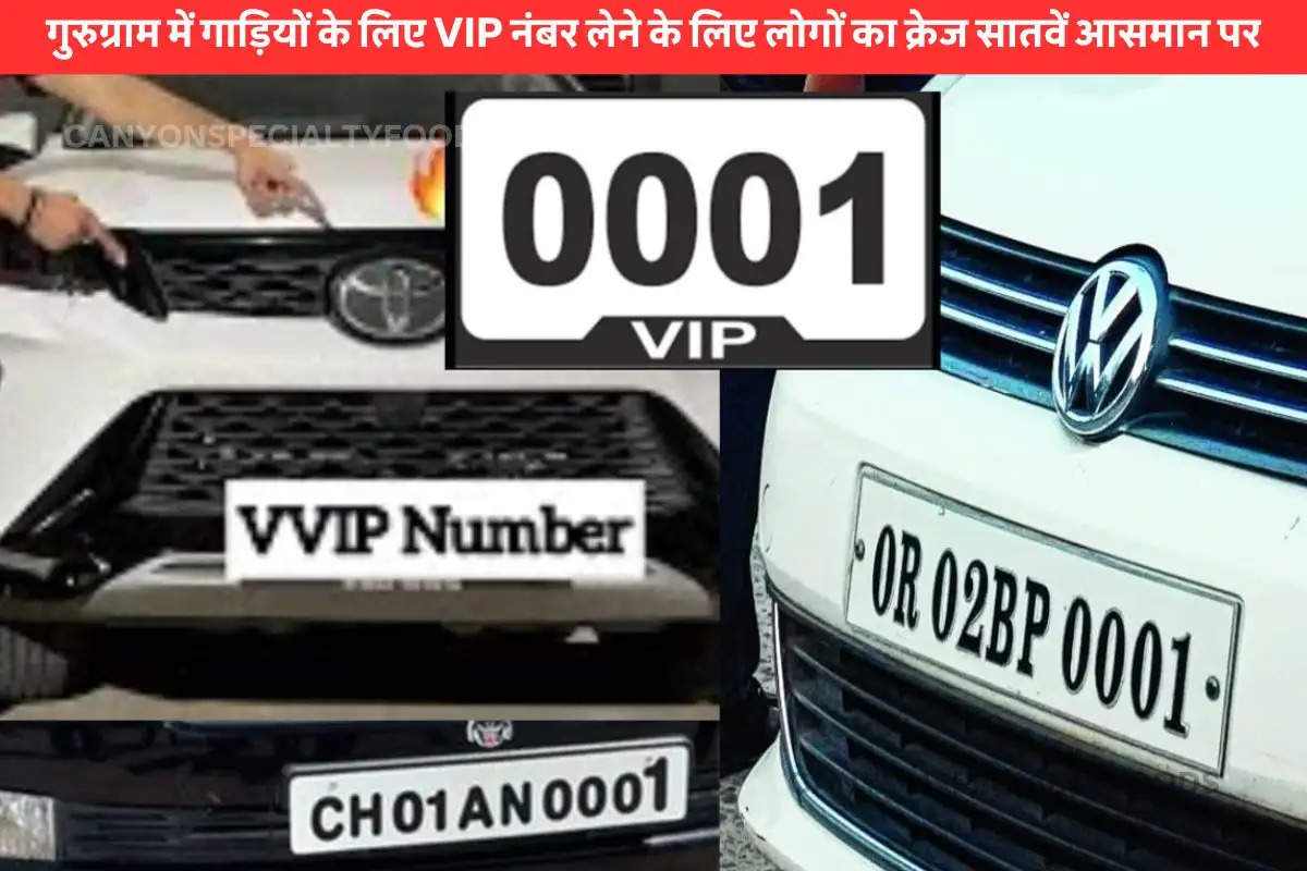 vip numbers process