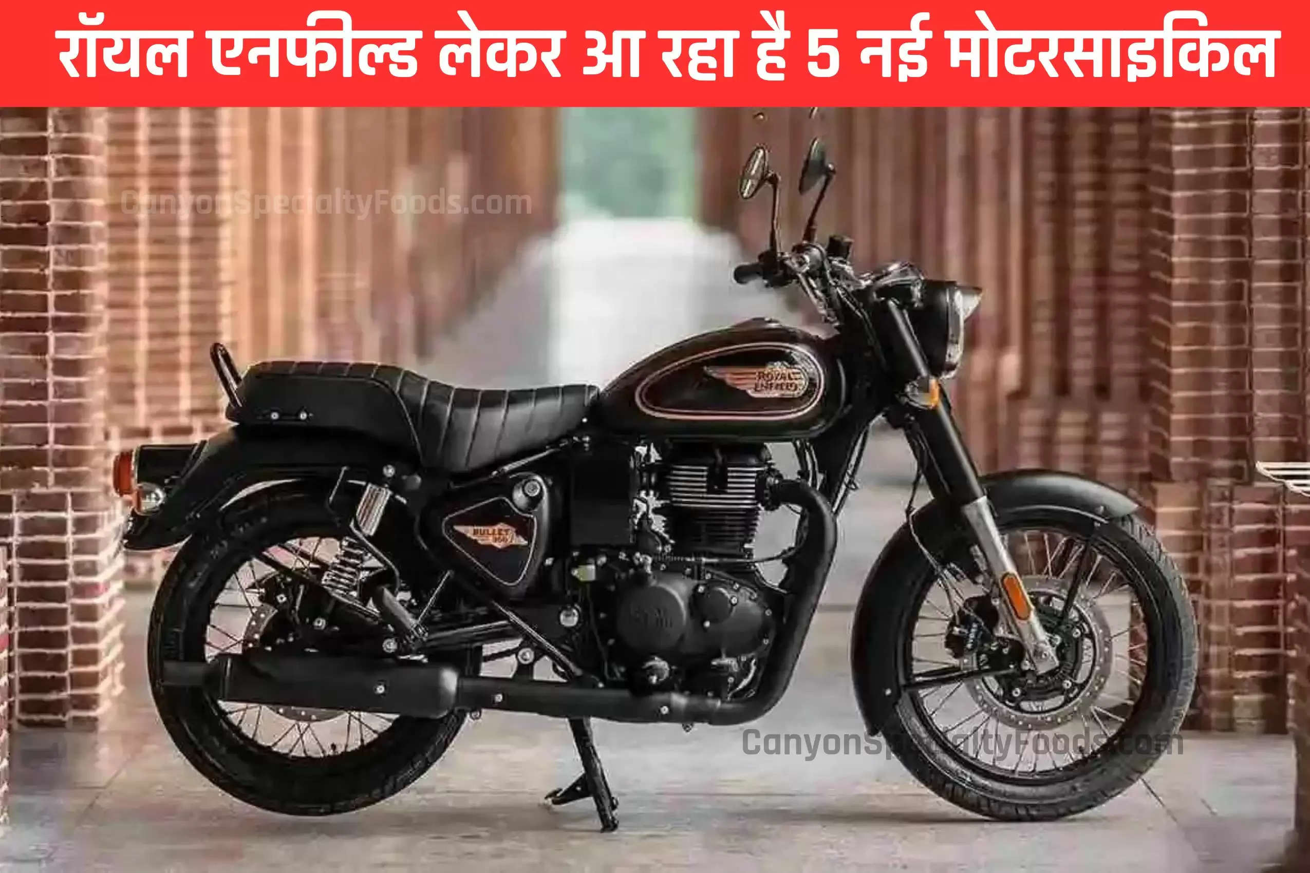 royal-enfield-is-preparing-to-launch-5-new-models