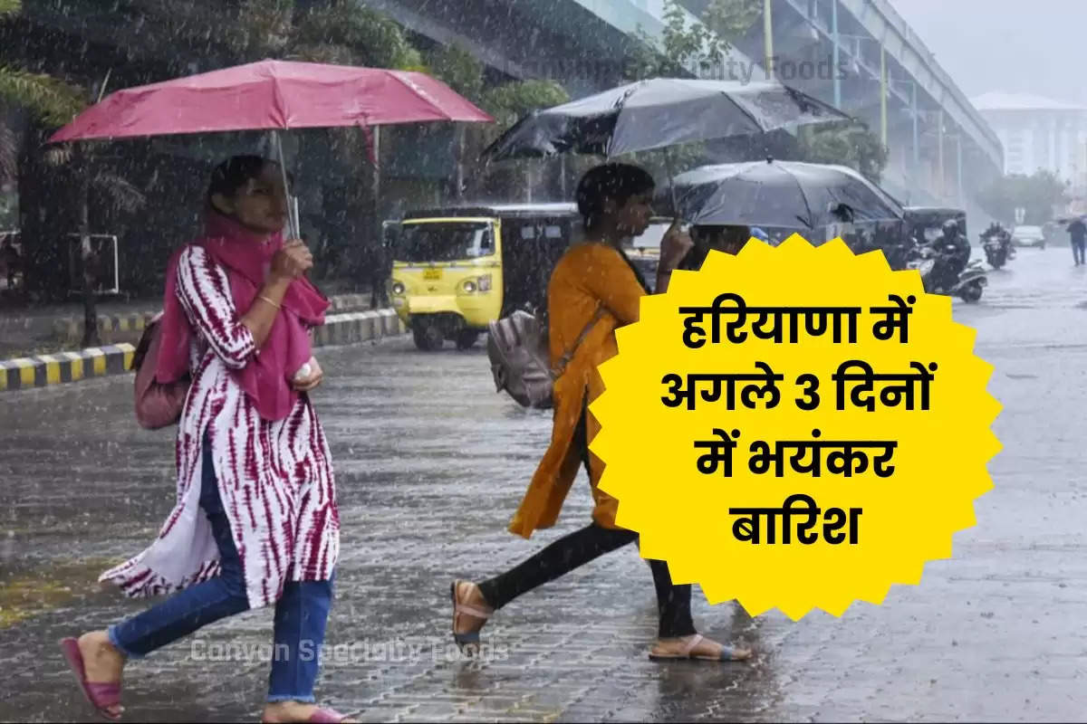 haryana-monsoon-update