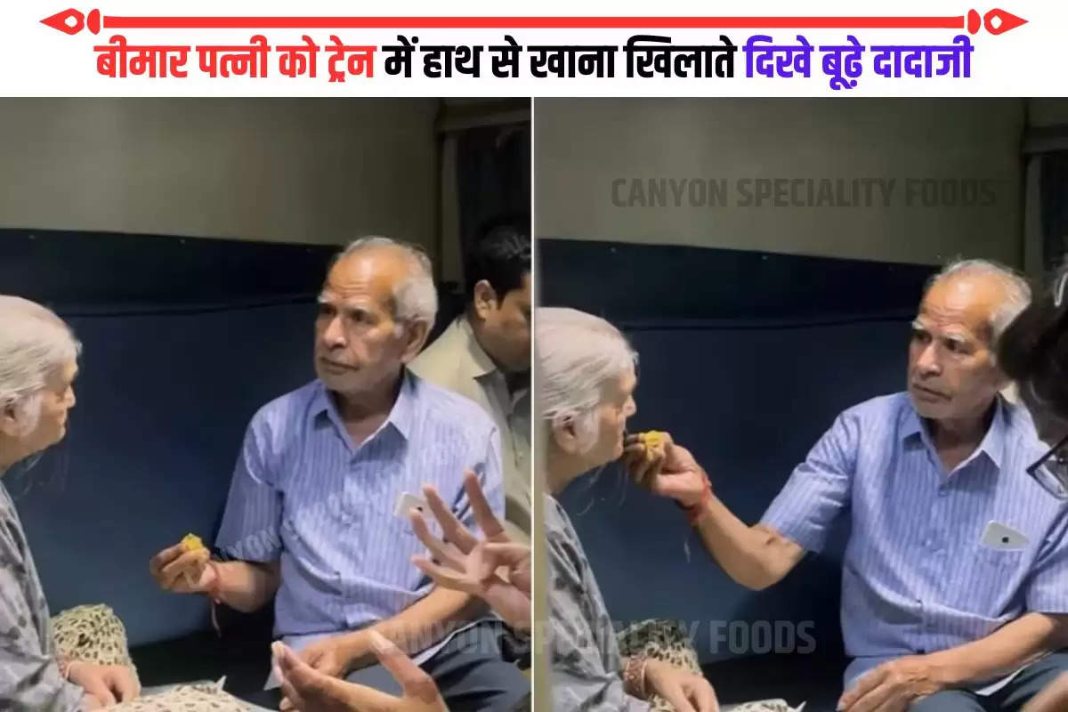 Old man seen feeding food to sick wife in train