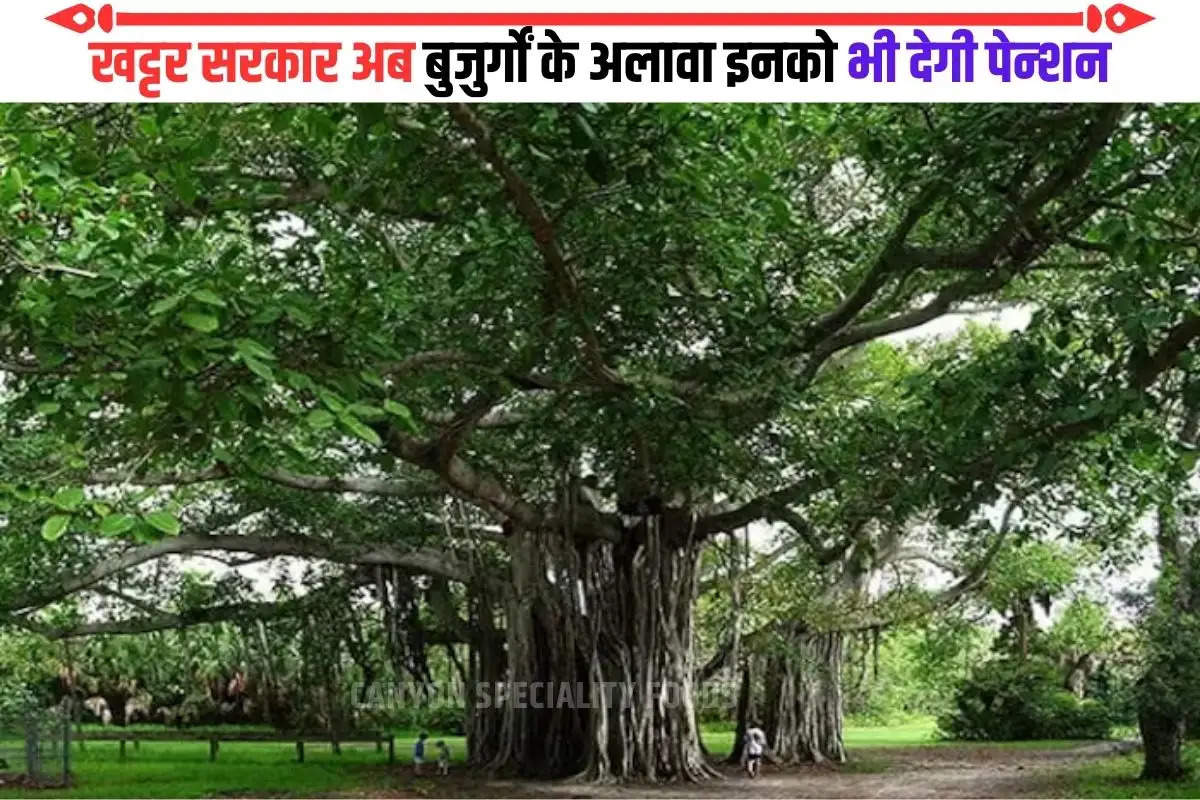 Haryana Old Tree Pension