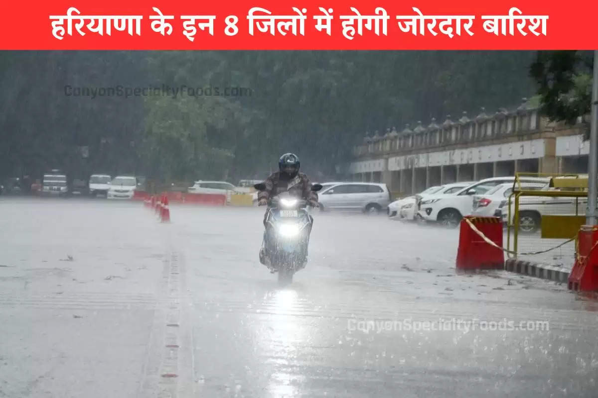 heavy-rain-will-occur-in-8-districts-of-haryana