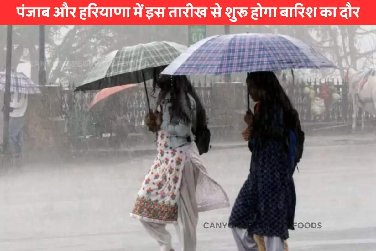 haryana Weather Update 23 February