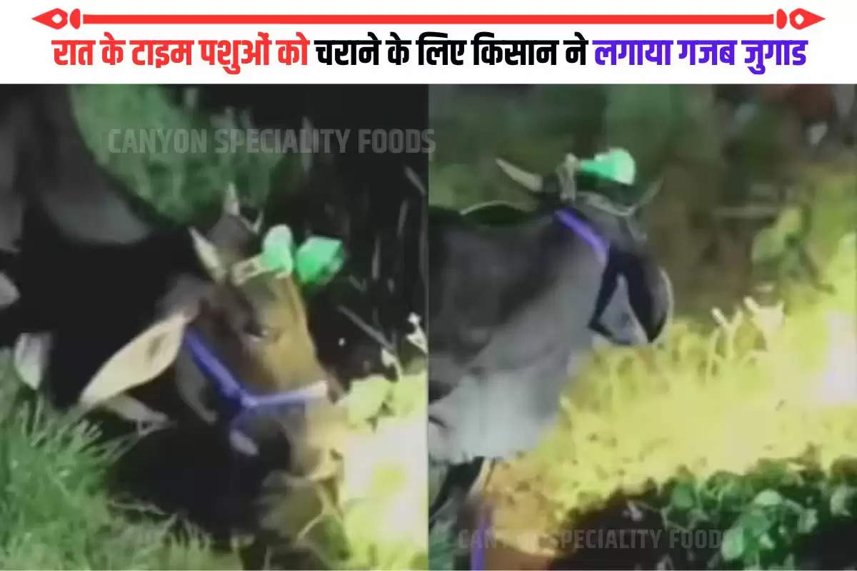 Kisan Desi Jugaad Video