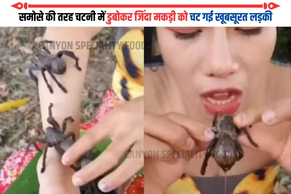 समोसे की तरह चटनी में डुबोकर जिंदा मकड़ी को चट गई खूबसूरत लड़की
