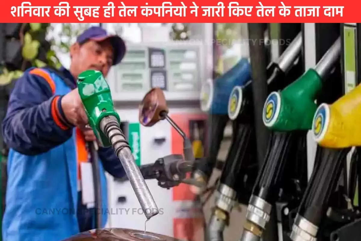 petrol-diesel-price-on-may-18-2024