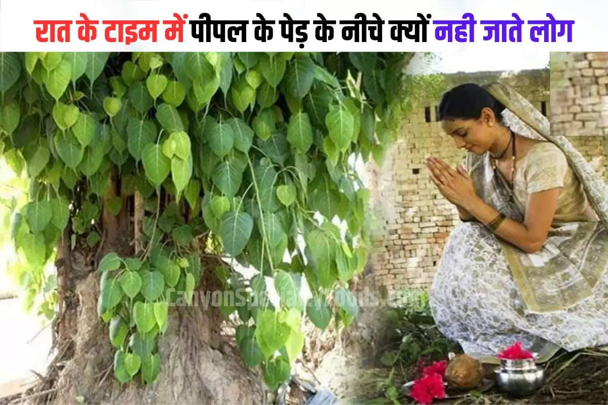 peepal tree oxygen at night