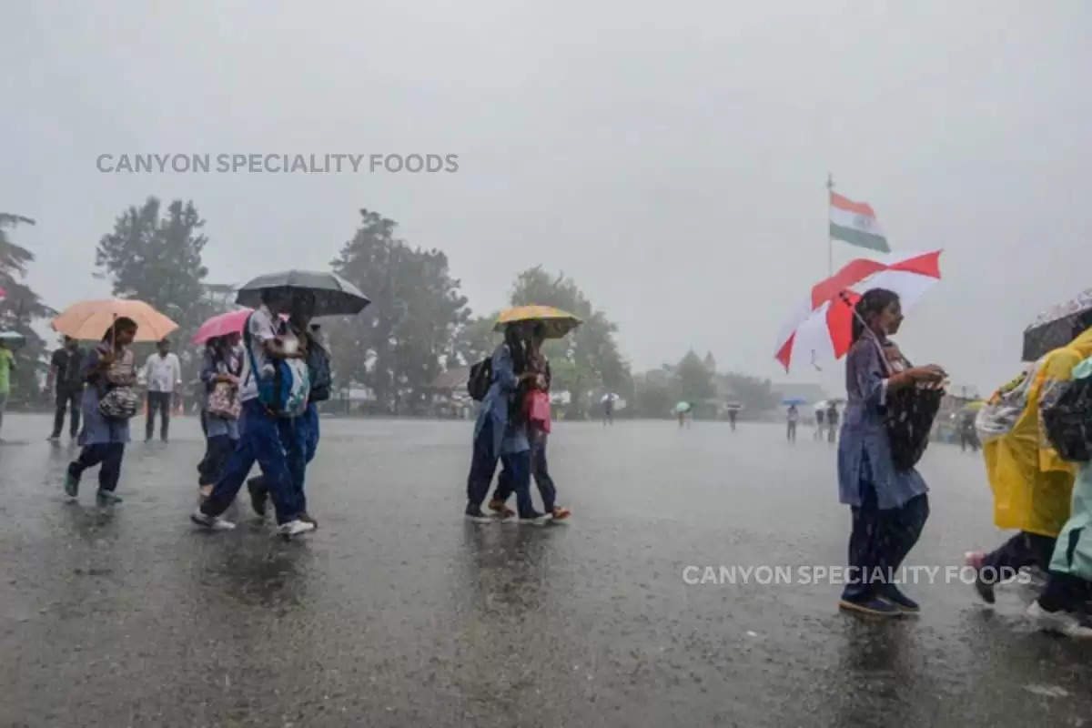 इन 3 नस्लों की गाय पालकर आप भी कर सकते है मोटी कमाई, देसी नस्ल की ये खूबियां जानकर तो आपको भी नही होगा भरोसा