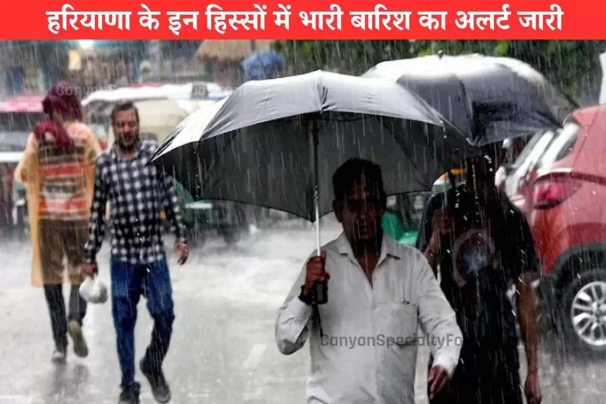 haryana-weather-alert