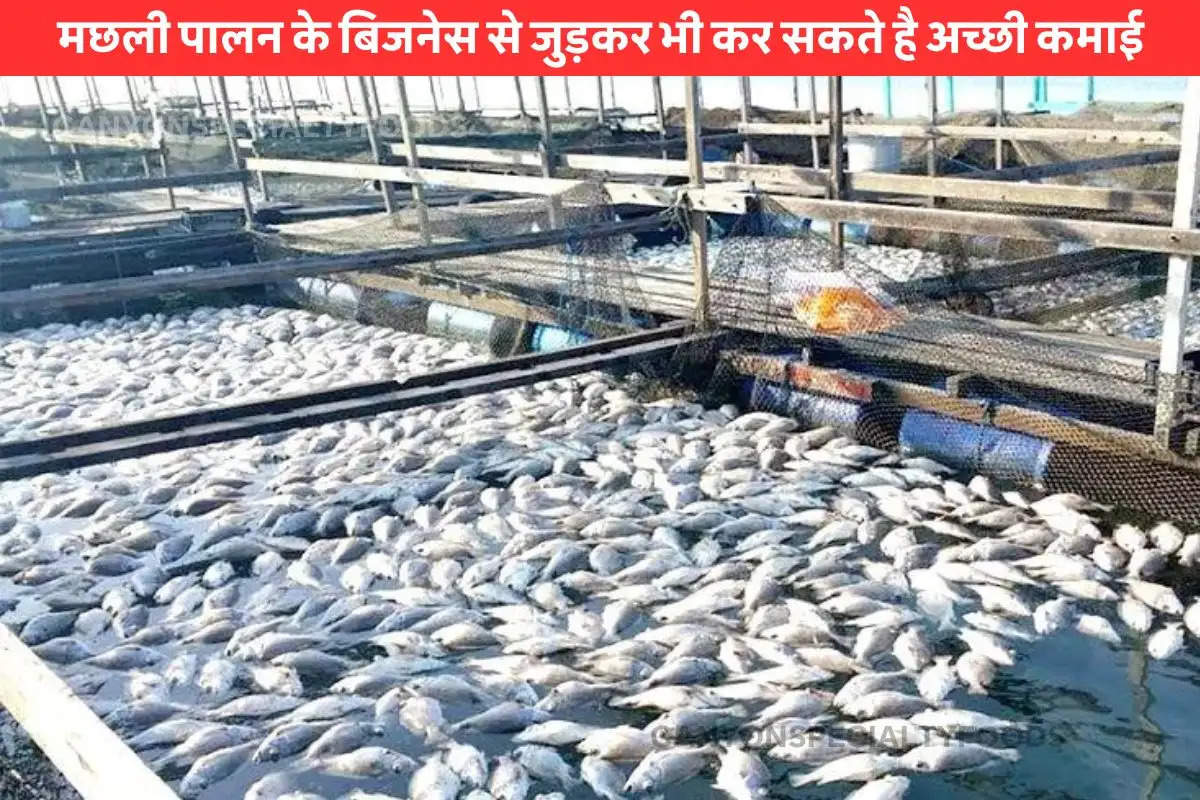 Fish farming will generate huge income (1)