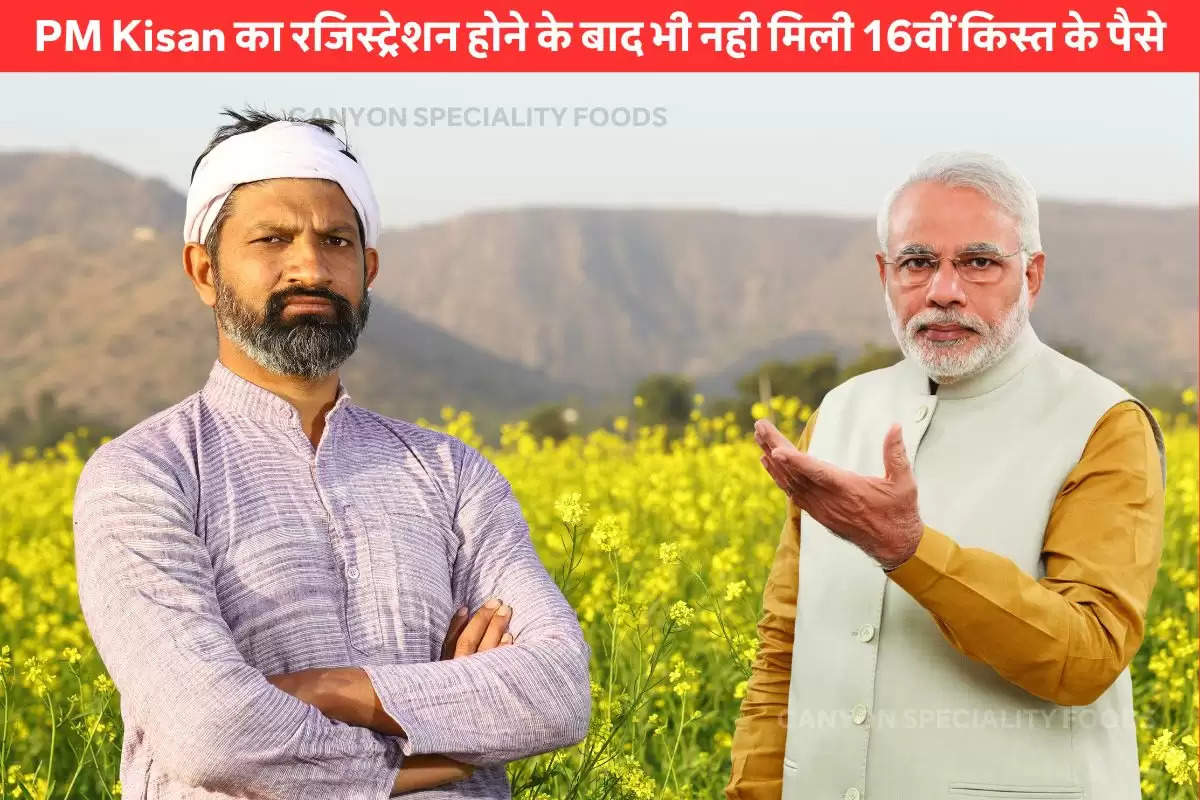 pm kisan samman nidhi