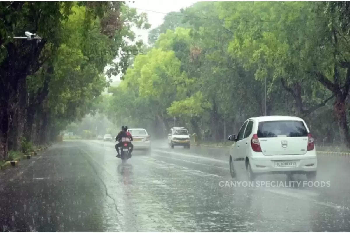 mausam-change-in-haryana