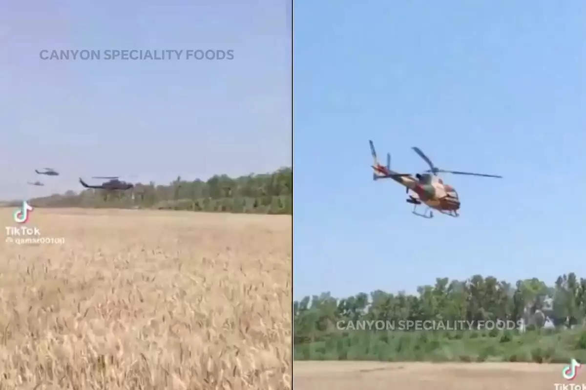 army-helicopters-are-drying-wheat