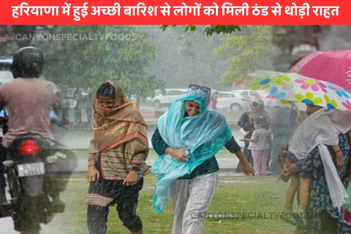 Rain Alert in Haryana 3rd Feb