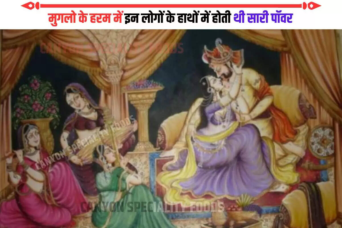 Powerful Transgender of mughal empire