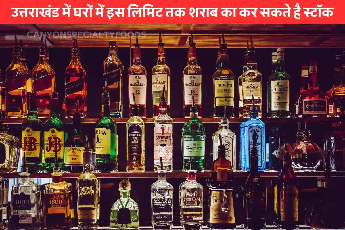 Home Mini Bar Excise Policy