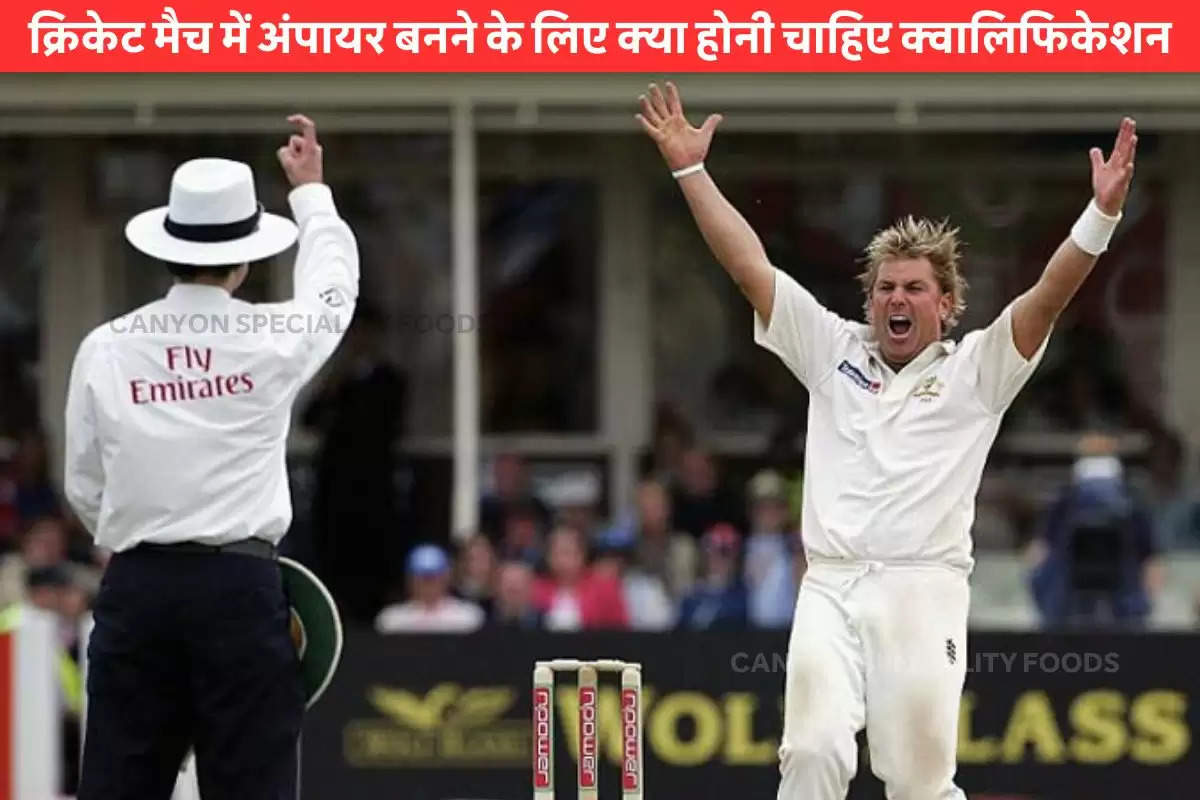 How to Become Cricket Umpire Salary Fees per match