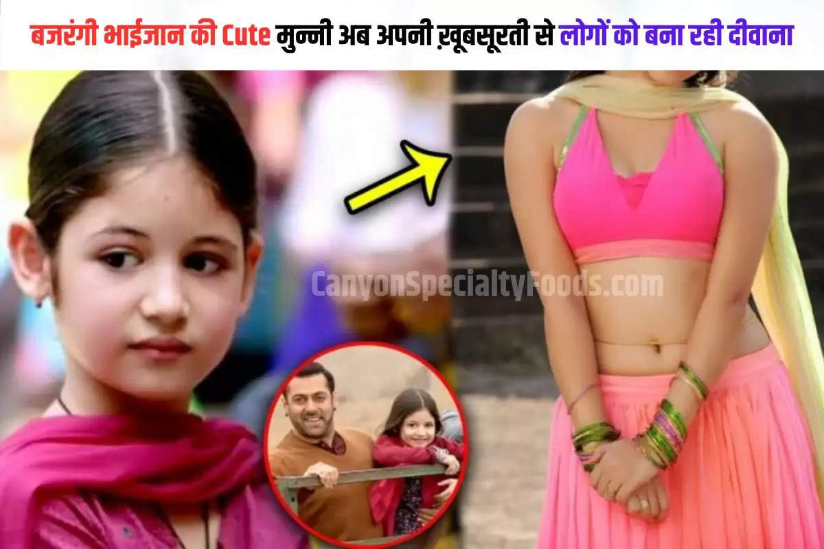 Harshaali Malhotra Then and Now look