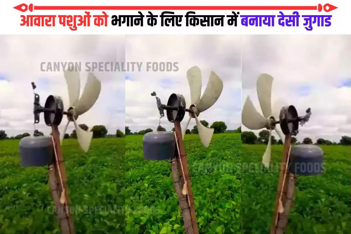 desi jugaad agriculture