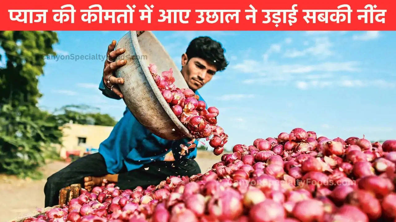 Today Onion Price: प्याज की कीमतों में आए उछाल ने उड़ाई सबकी नींद, ताजा रेट सुनकर तो उड़ जाएगी नींद