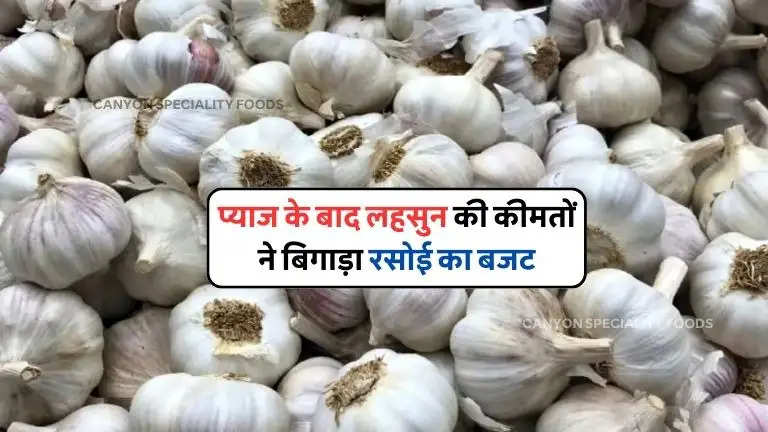 Garlic Price Hike