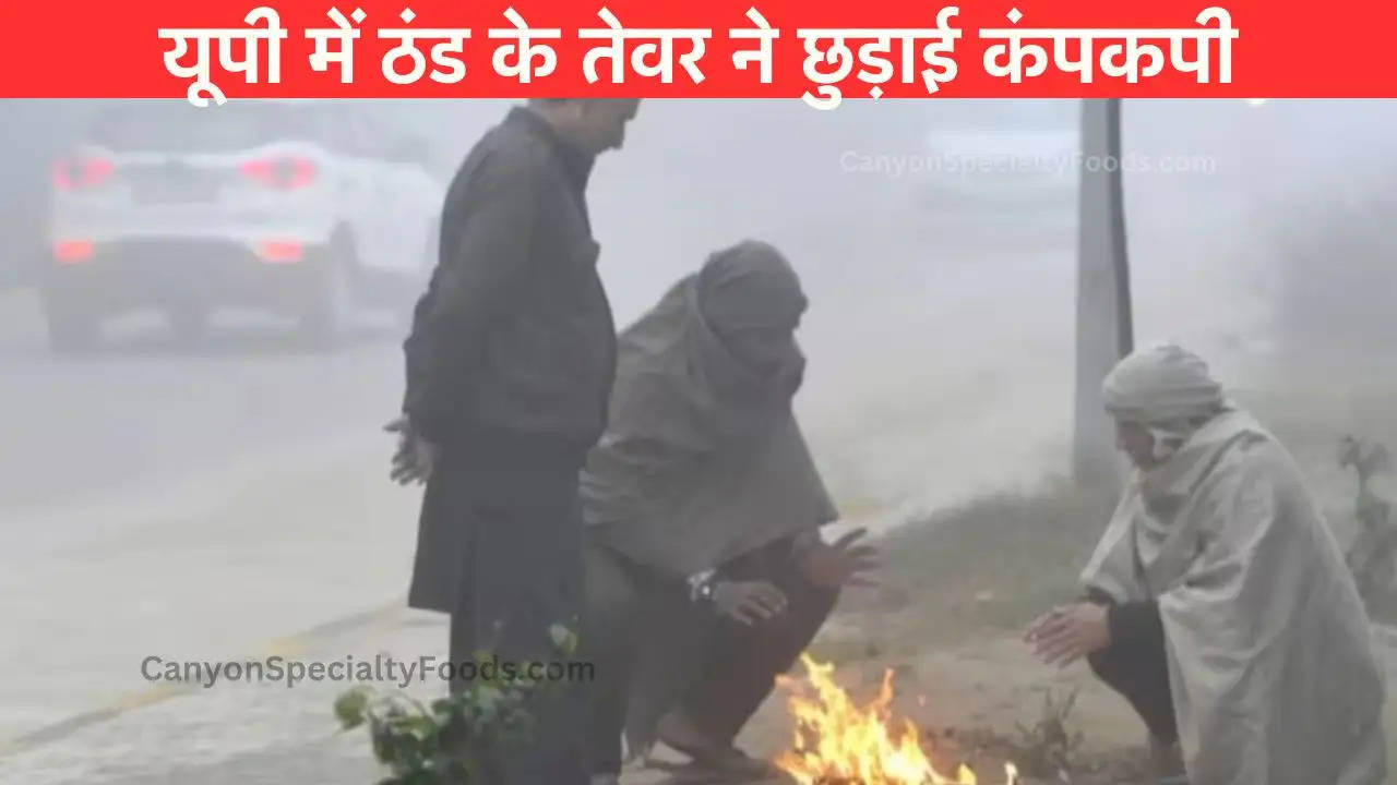 UP Weather: अब अपने जैकेट-स्वेटर भी निकाल लें…IMD ने कोहरे और सर्दी को लेकर किया ये अलर्ट जारी