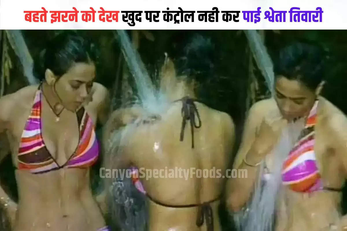 Shweta Tiwari bikini video