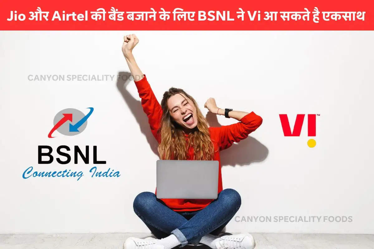 bsnl-may-use-vi-4g-network