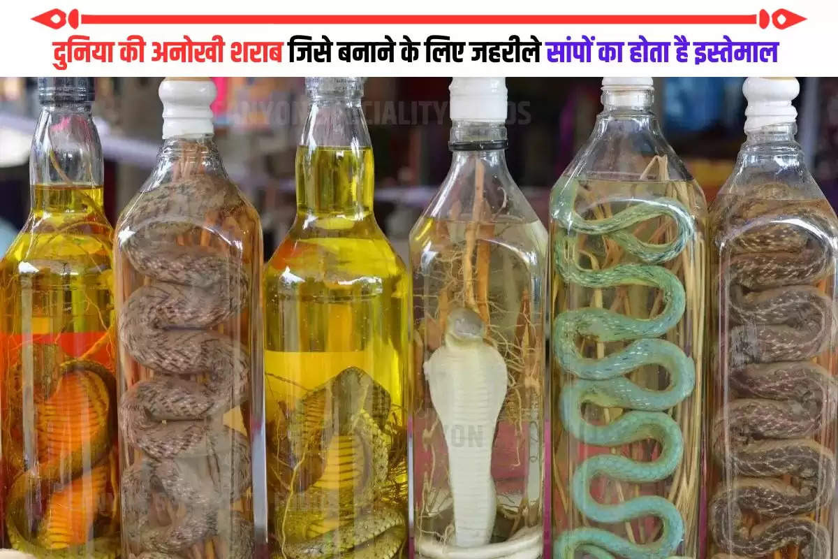 benefits of snake wine