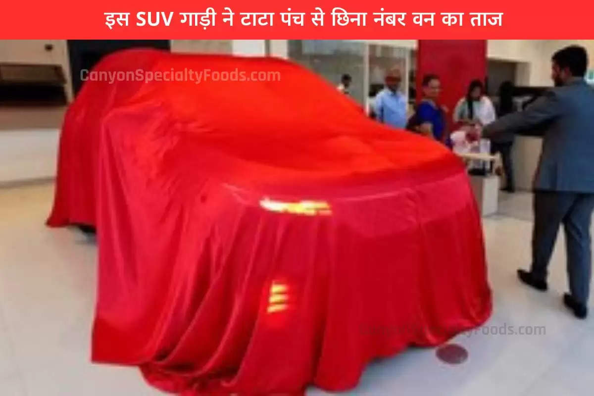 अपने ताज को बचाने में नाकाम रही टाटा पंच, सबको रौंदते हुए इस SUV ने हासिल की नंबर-1 की गद्दी; ब्रेजा और नेक्सन भी पीछे