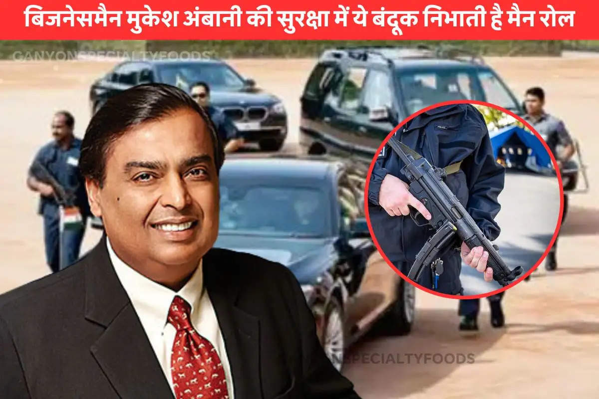 security of ambani family