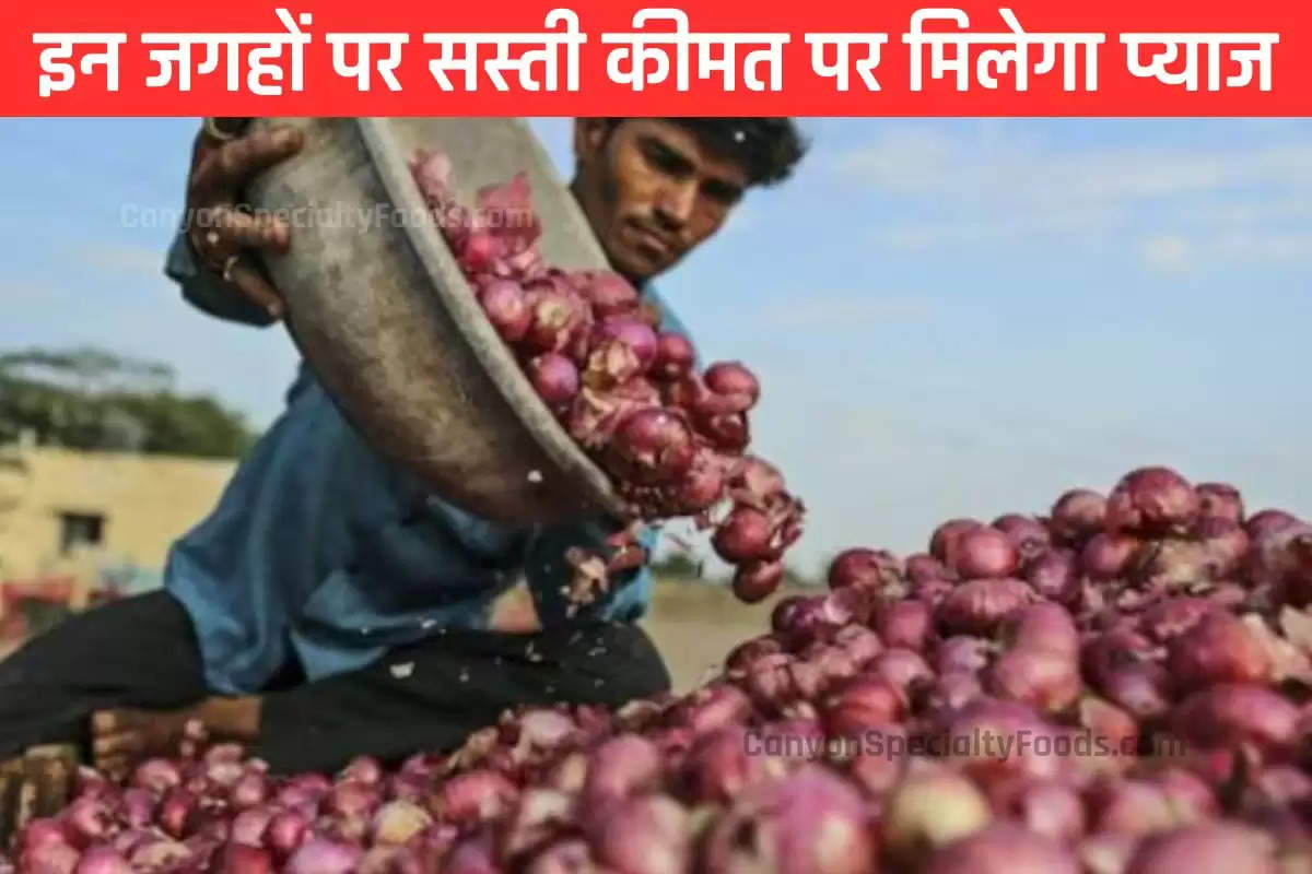 Onion Price Today: 