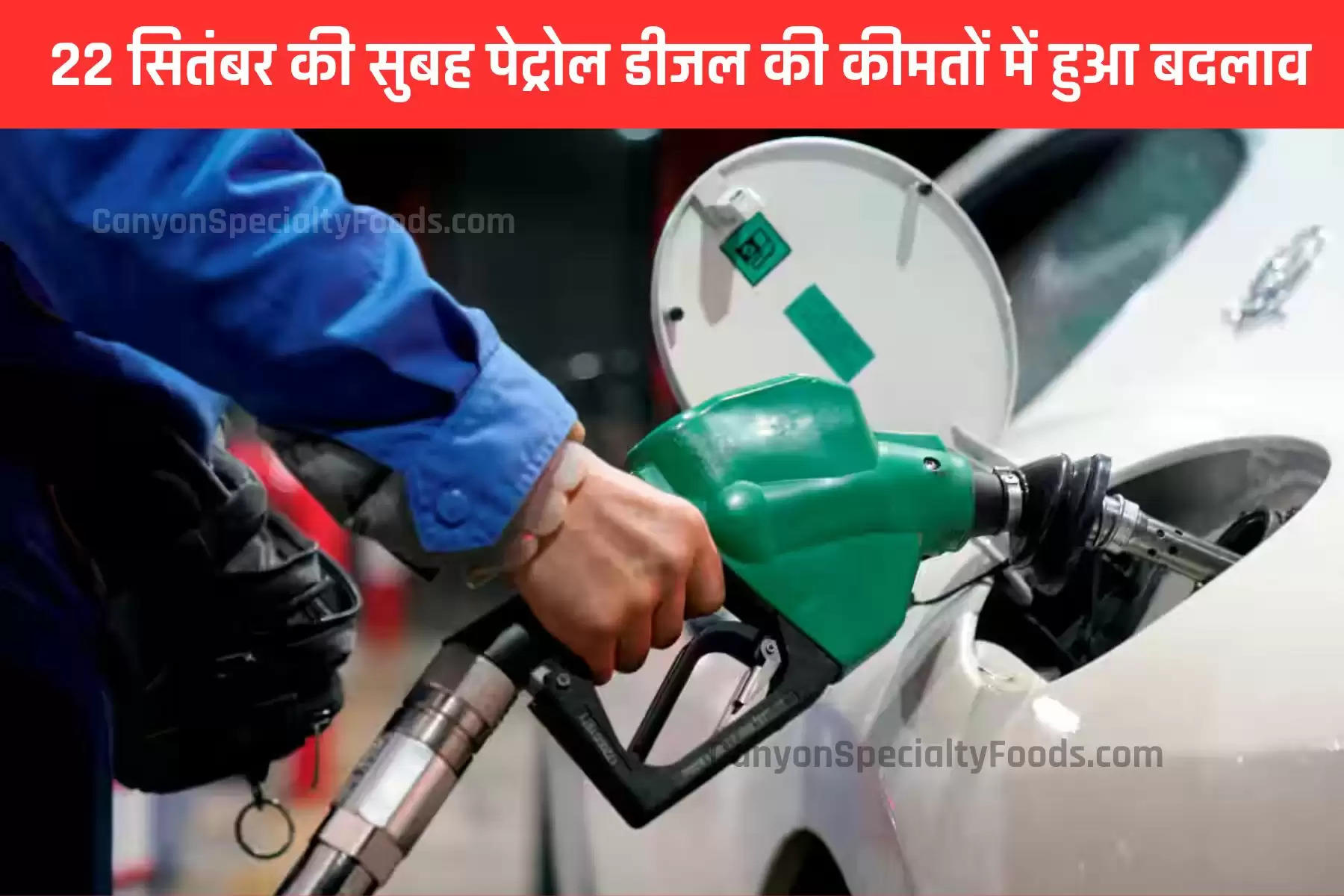 petrol-diesel-price